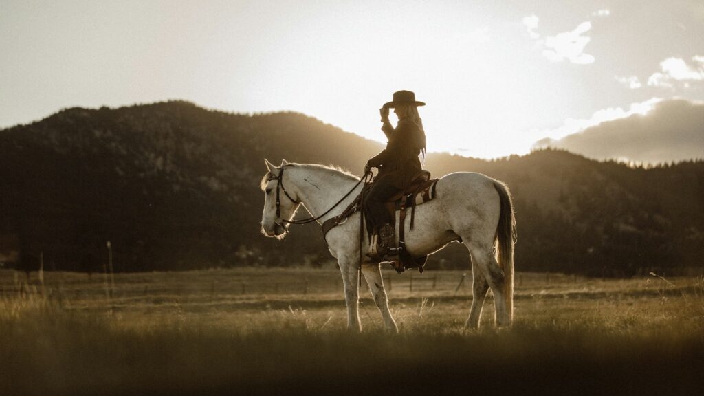 man riding on white horse during daytime