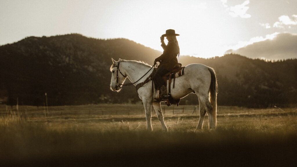 man riding on white horse during daytime