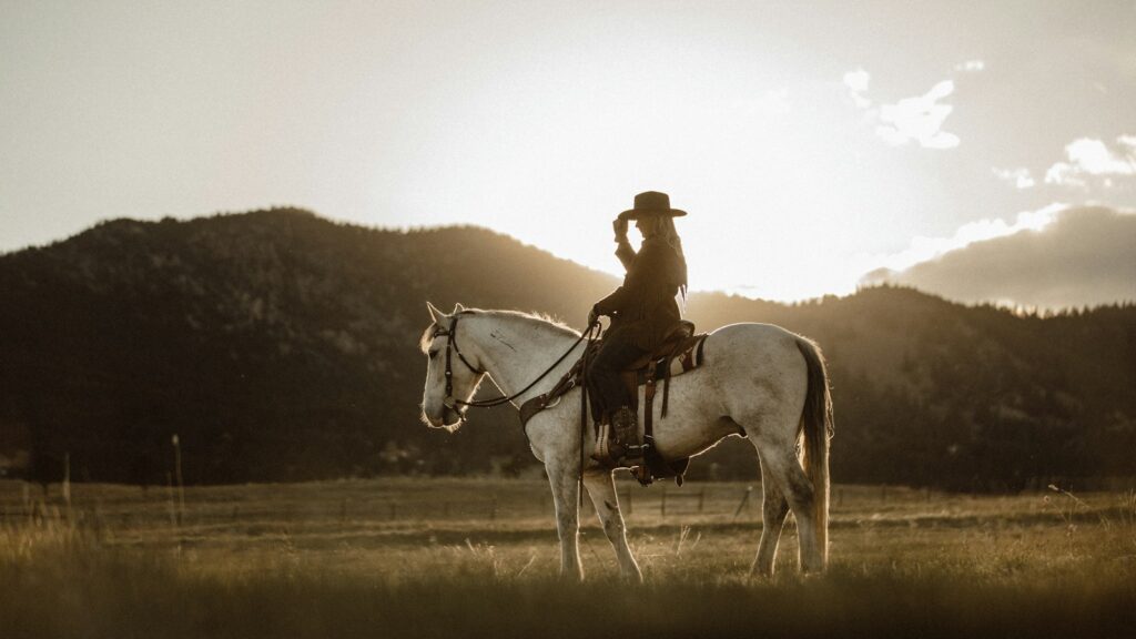 man riding on white horse during daytime