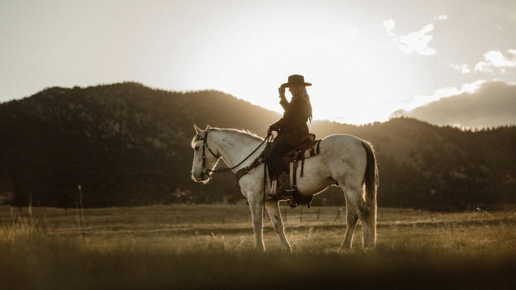 man riding on white horse during daytime