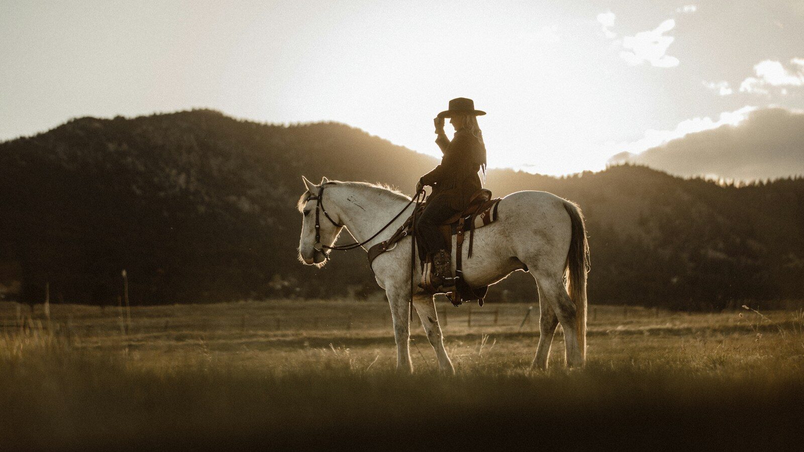 man riding on white horse during daytime