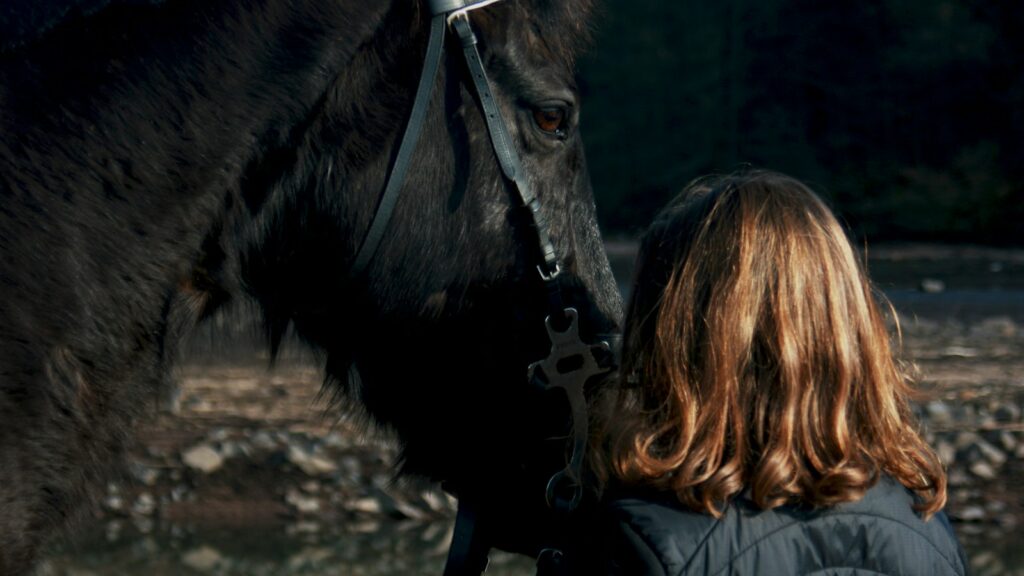 woman standing beside black horse