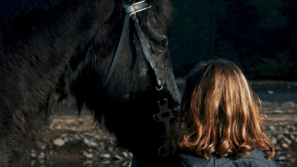 woman standing beside black horse