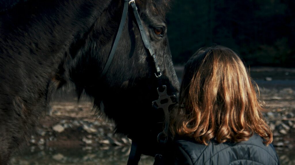woman standing beside black horse