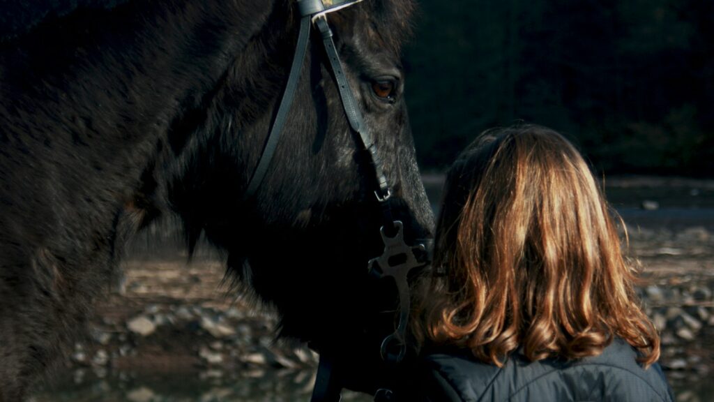 woman standing beside black horse