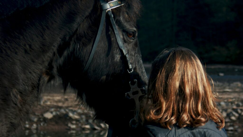 woman standing beside black horse