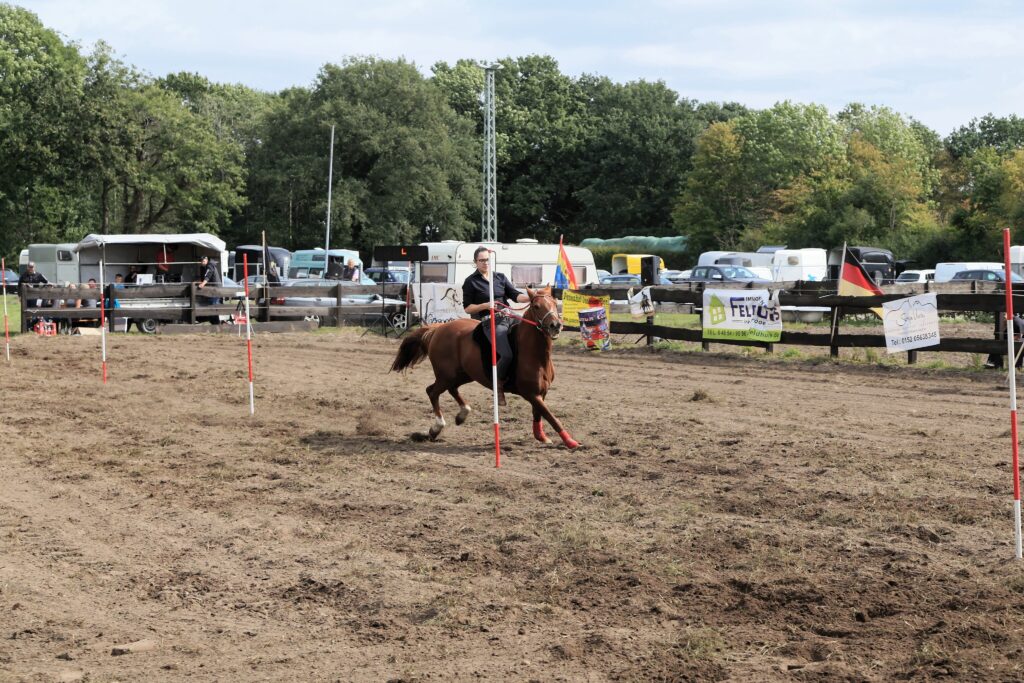 Pole bending, Western riding at the Horse and Cattle Market 2019