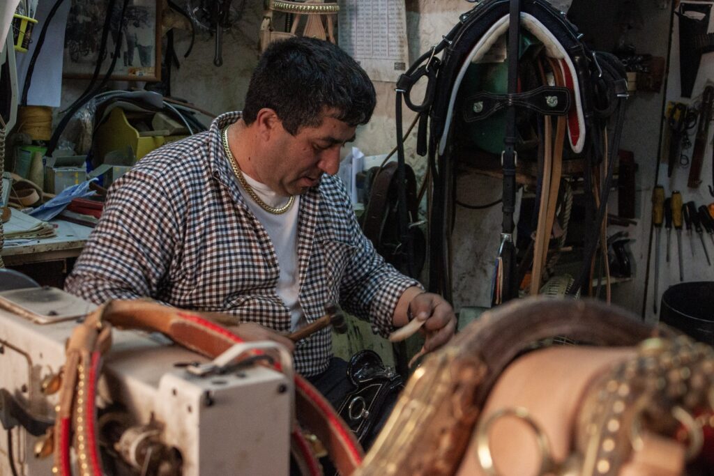 Saddlers are trained, skilled and qualified to make and repair saddlery and leatherwork including bridles, saddles and harness. A saddle fitter is a qualified person able to fit a suitable saddle to the horse and rider based on initial assessments.