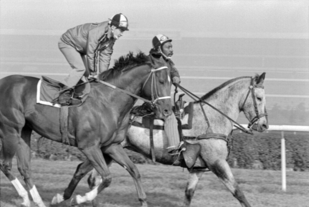 Secretariat being exercised with another pony in preparation for the Canadian International Stakes