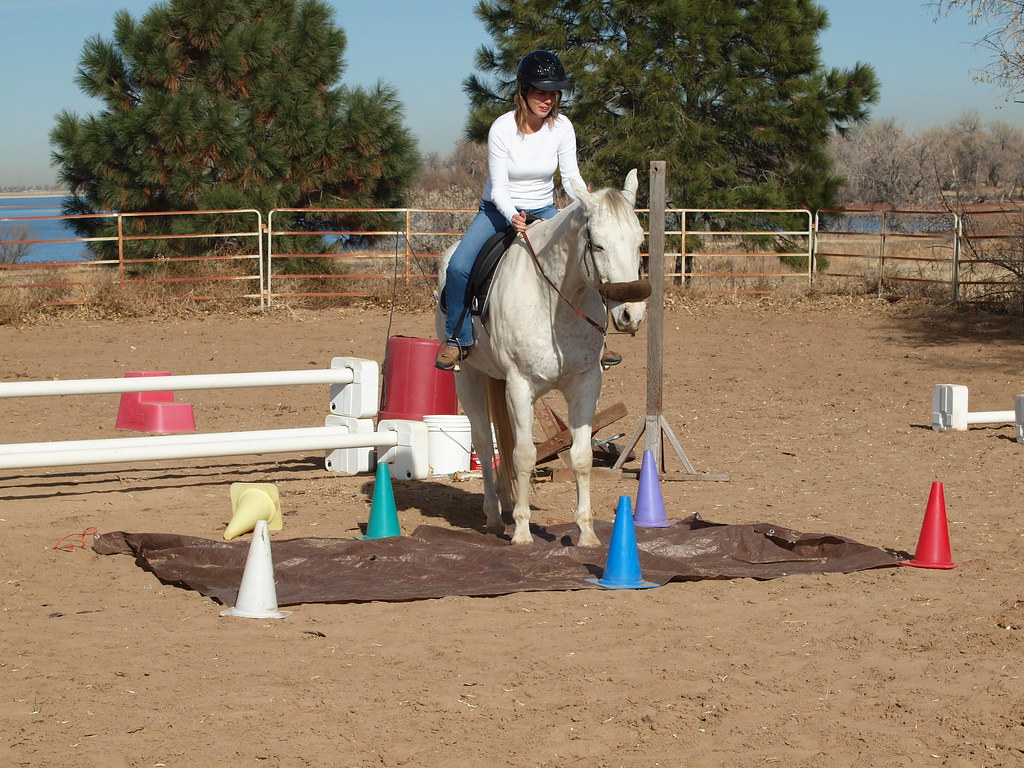 Horse tarps and obstacles