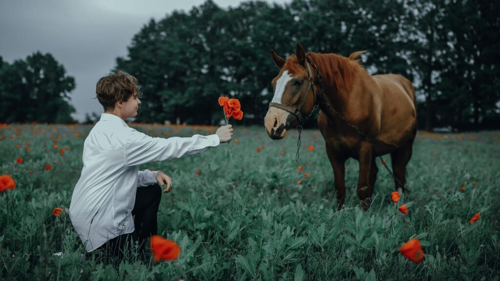 A young boy offers a vibrant red flower to a horse in a lush, green field with scattered poppies.