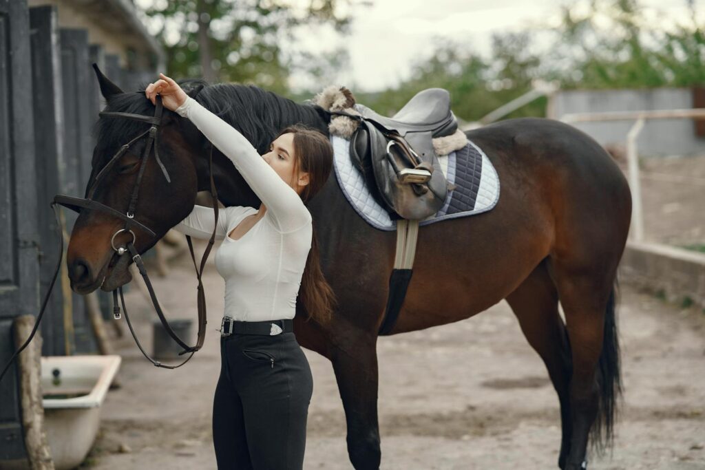 Woman adjusting bridle on a horse outdoors. Perfect for equestrian and lifestyle themes.