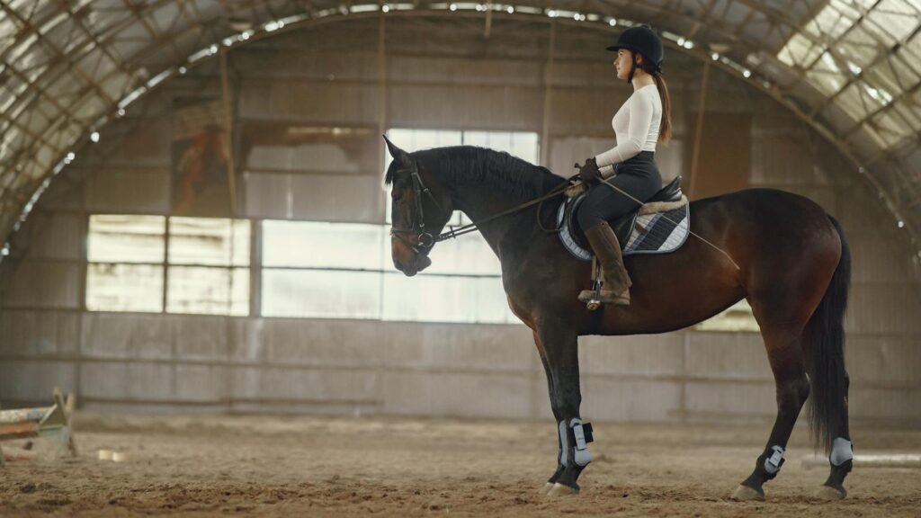 Woman in a riding hall training on a horse. Side view illustrating equestrian skills.
