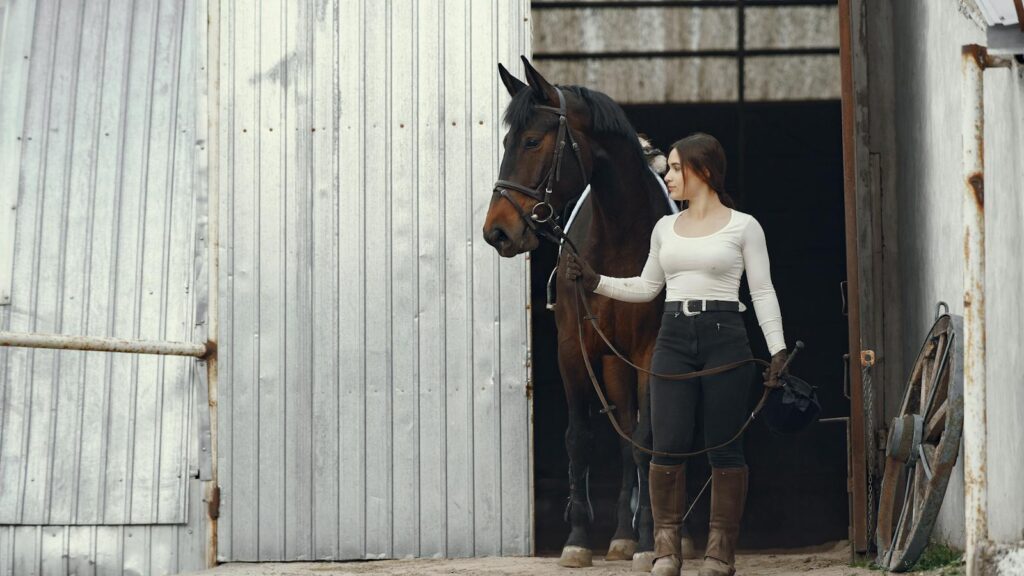 Young woman holding horse's reins, exiting barn stable. Equestrian lifestyle captured outdoors.
