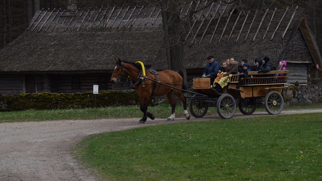 Horse with carriage