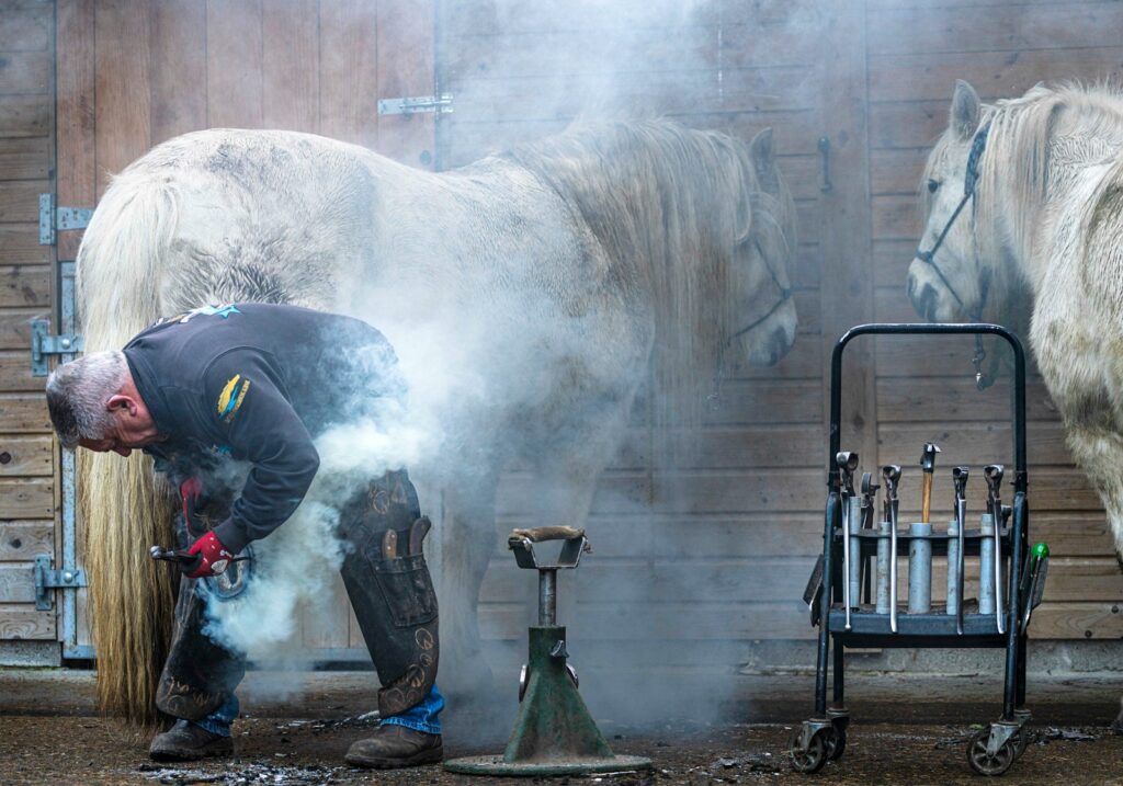 Farrier with a horse