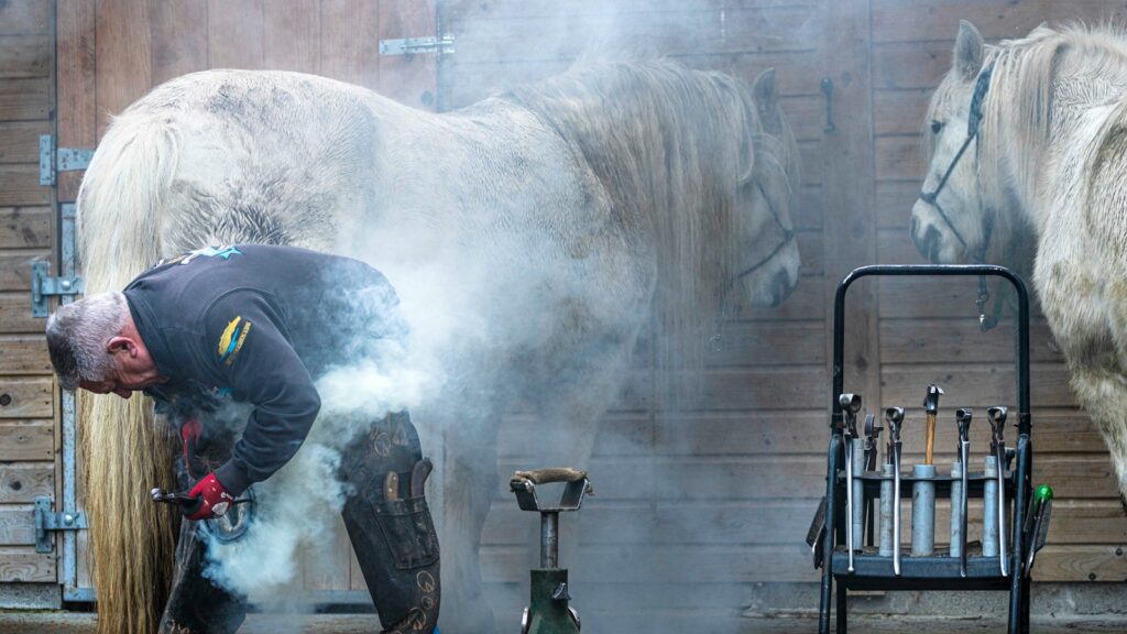a person with a horse