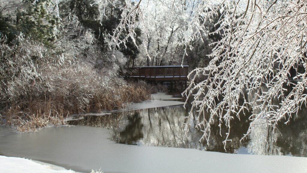 brown wooden bridge over snow covered ground