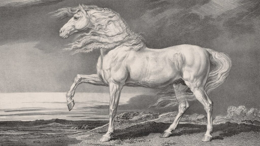 horse art