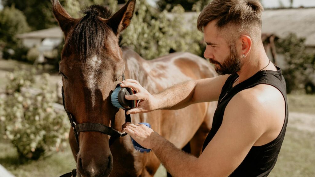A man brushing a brown horse outdoors at an equestrian stable on a sunny day.