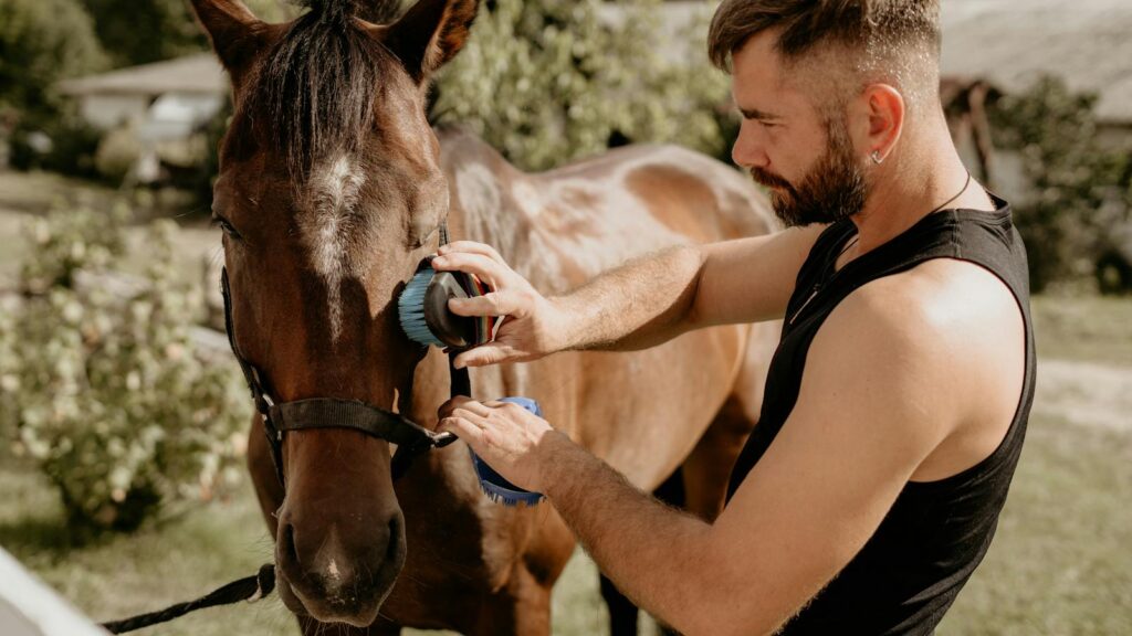 A man brushing a brown horse outdoors at an equestrian stable on a sunny day.
