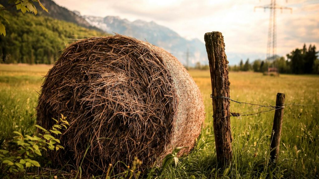 Hay bale in a scenic rural landscape during sunset with mountains in the background.