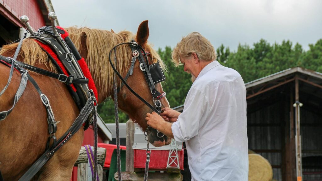 A farmer tending to a harnessed horse outdoors at a rural farm setting.