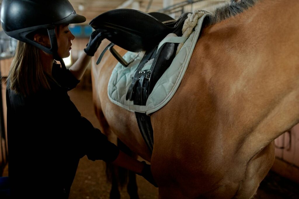 Female equestrian preparing her horse for riding