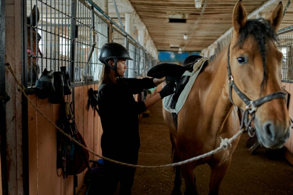 Equestrian caressing obedient horse and preparing for riding