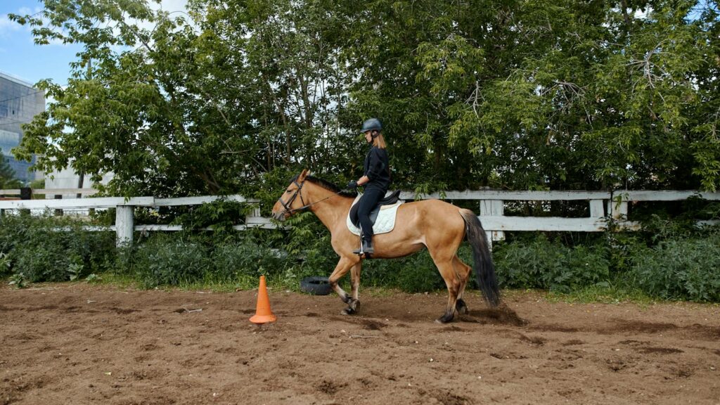 Side view of anonymous female in protective helmet riding horse in paddock in countryside in daytime