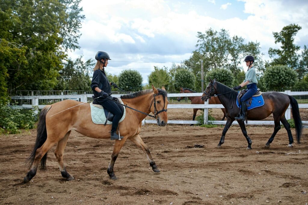 Side view of young equestrians riding chestnut and dark bay horses in paddock