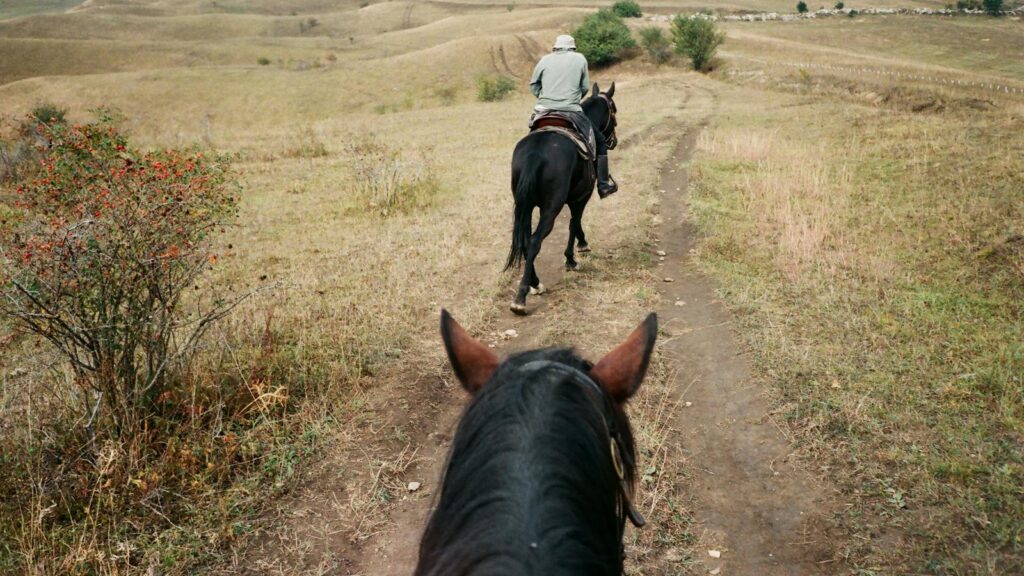 A man on horseback rides through a scenic open field under a cloudy sky. Perfect for rural lifestyle themes.