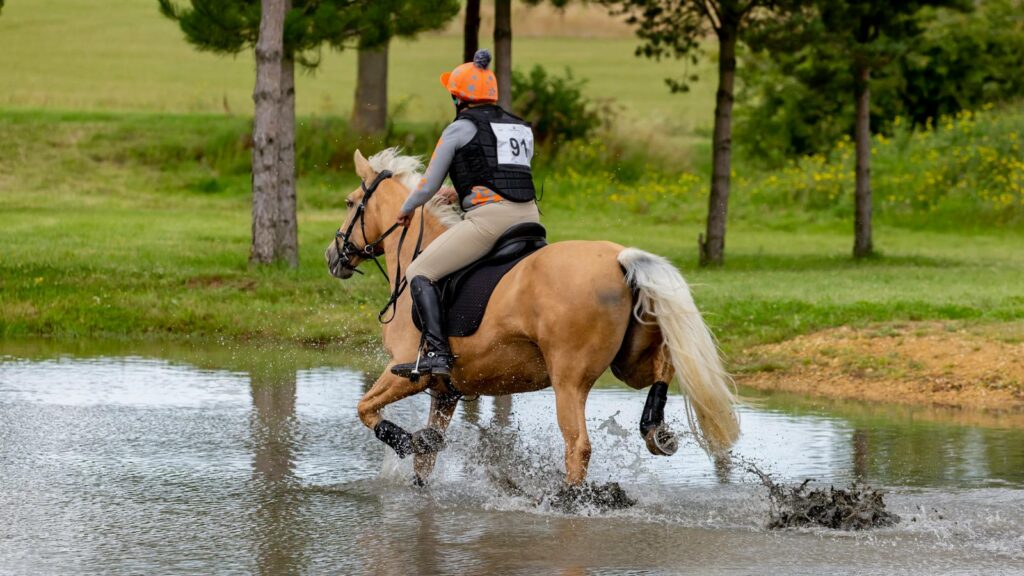 A rider and horse navigate a water obstacle during an equestrian event.