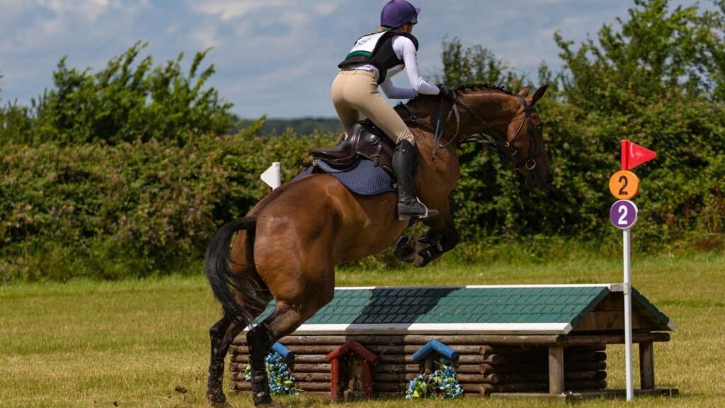 Rider and horse elegantly jump over an obstacle in an outdoor equestrian event on a sunny day.