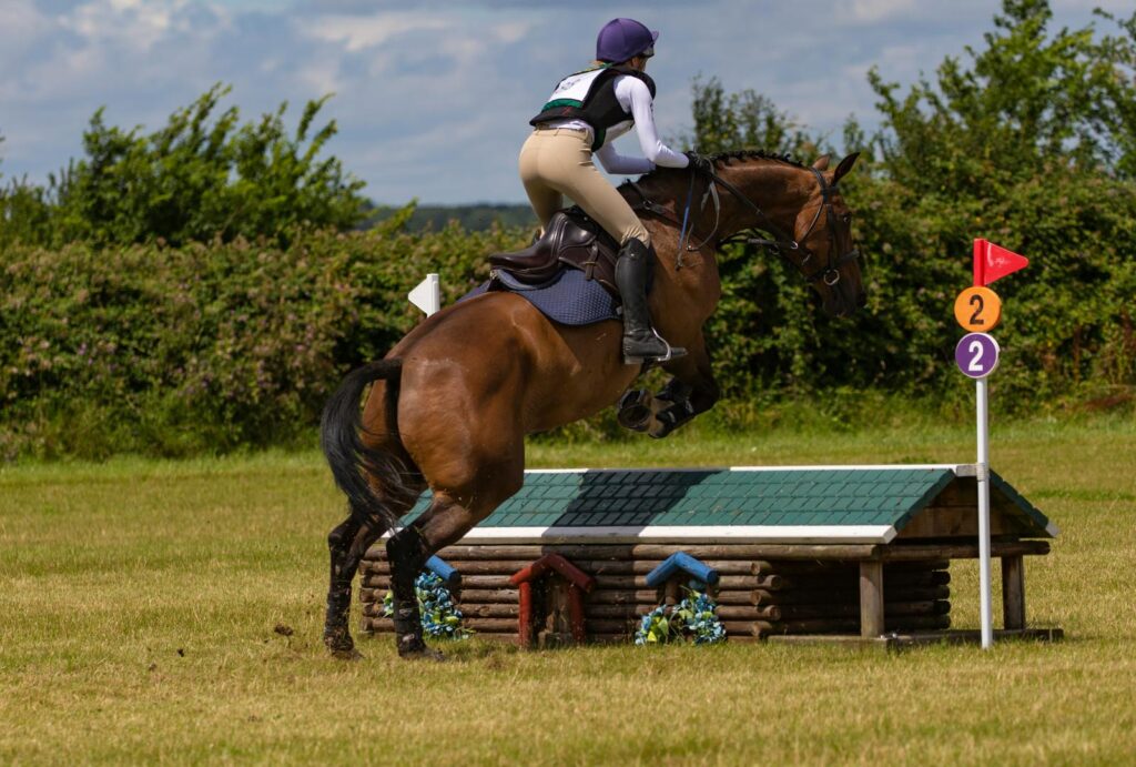 Rider and horse elegantly jump over an obstacle in an outdoor equestrian event on a sunny day.