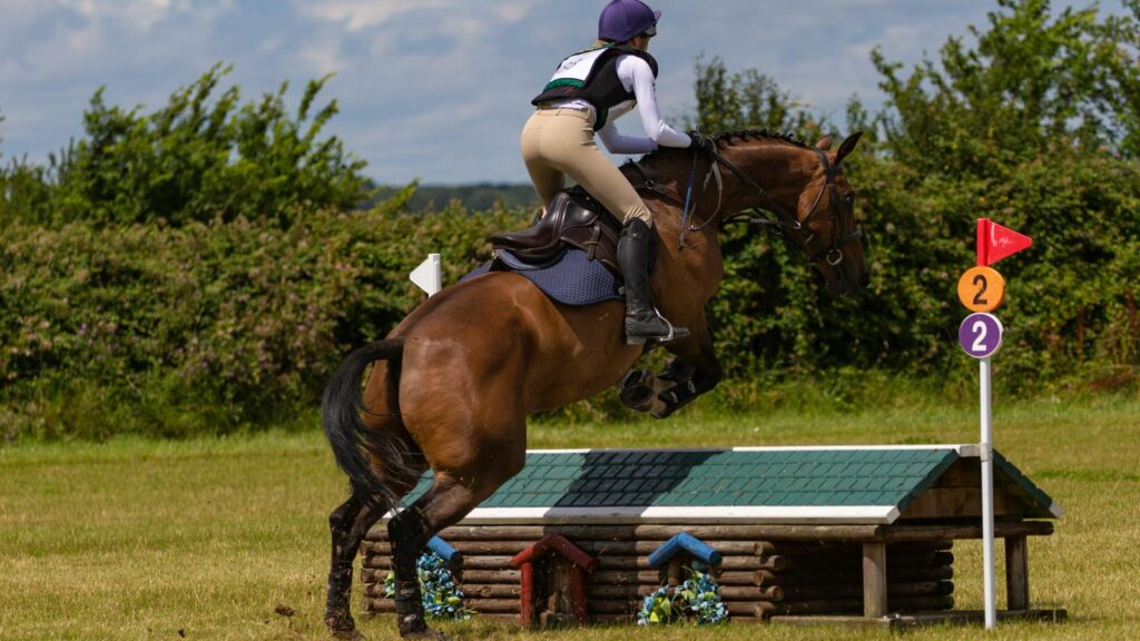 Rider and horse elegantly jump over an obstacle in an outdoor equestrian event on a sunny day.