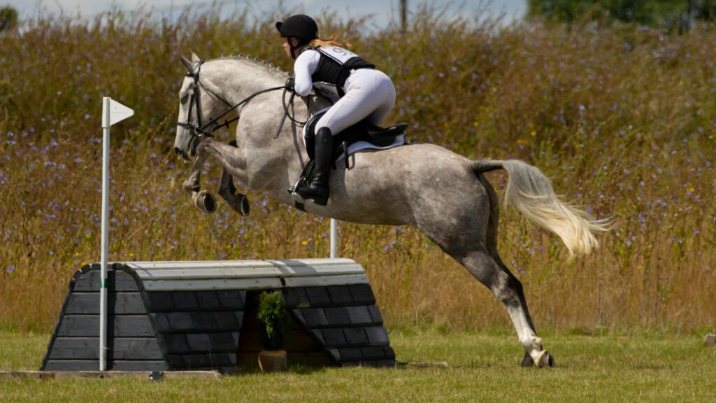 Horse and rider in mid-jump during outdoor equestrian event. Captivating sports image.