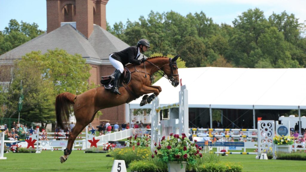 Exciting show jumping event featuring a skilled rider and horse navigating a jump with precision.