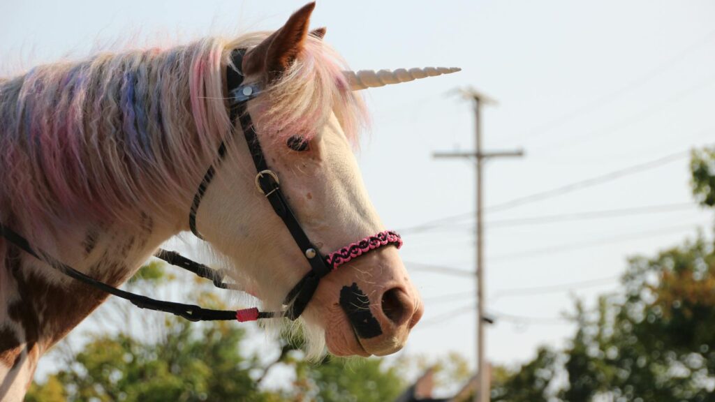 horse decorated as a unicorn