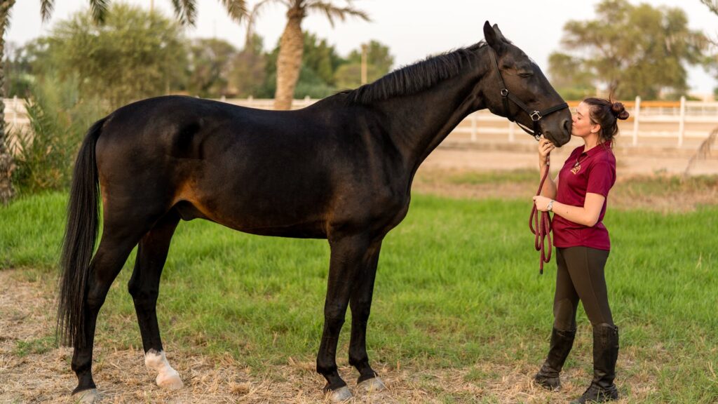 Side view of a happy young female equestrian in casual clothes and boots kissing muzzle of adorable purebred dark bay horse standing on grassy meadow in countryside