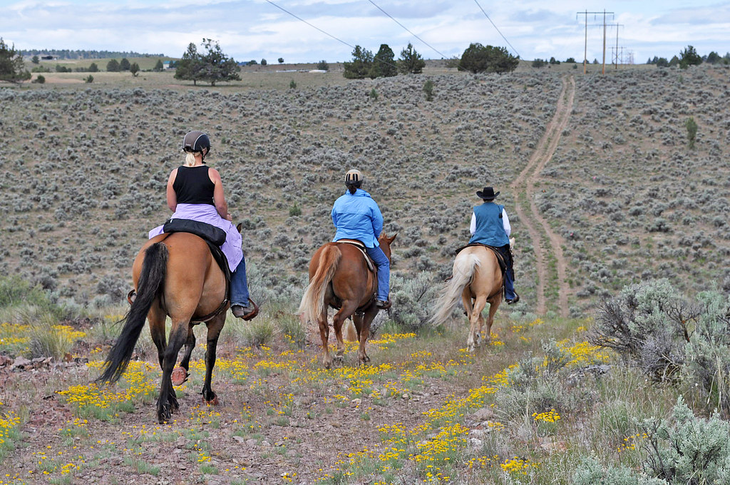 American Competitive Trail Horse Ride