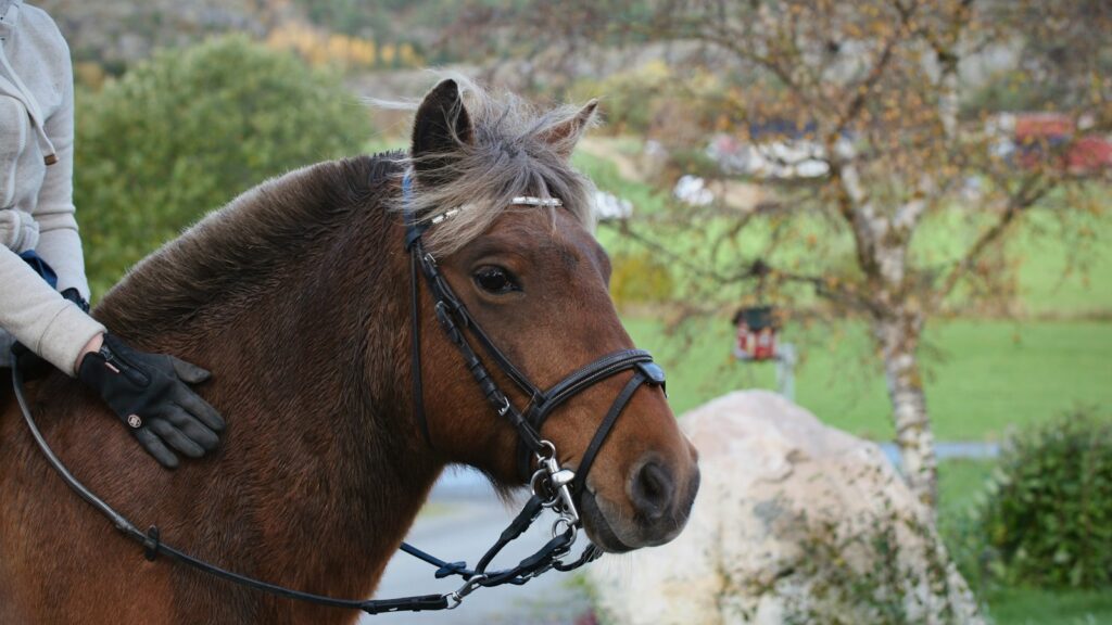 a woman riding on the back of a brown horse