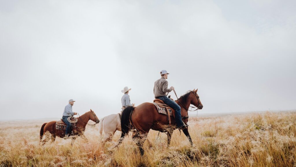 three people riding horses through a dry grass field