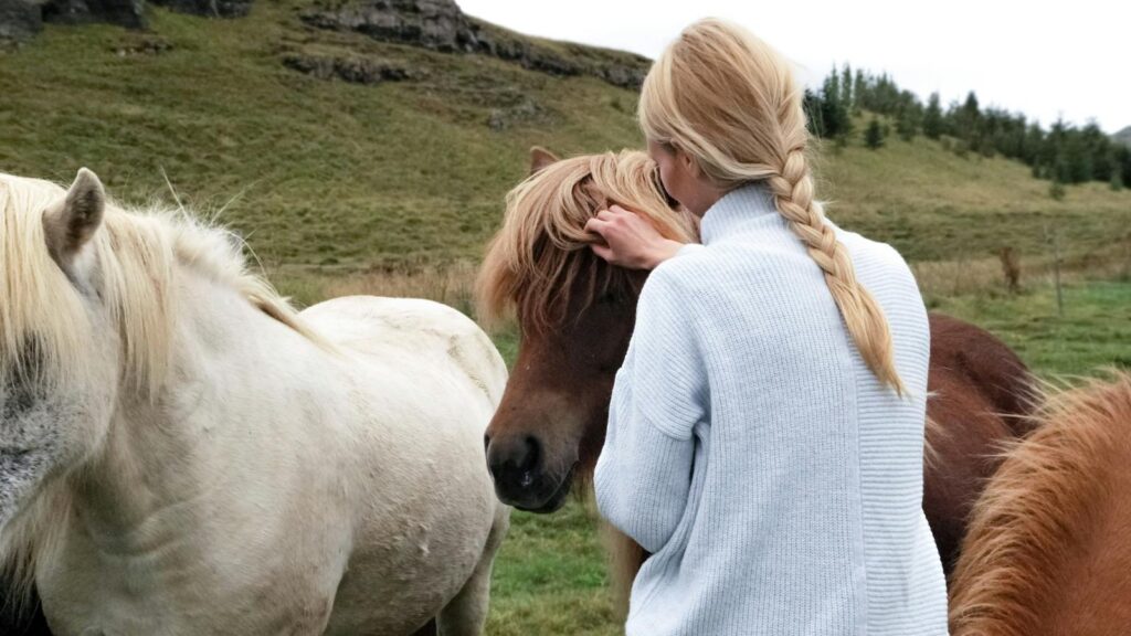 A woman with a braid lovingly caresses horses in a lush rural meadow.