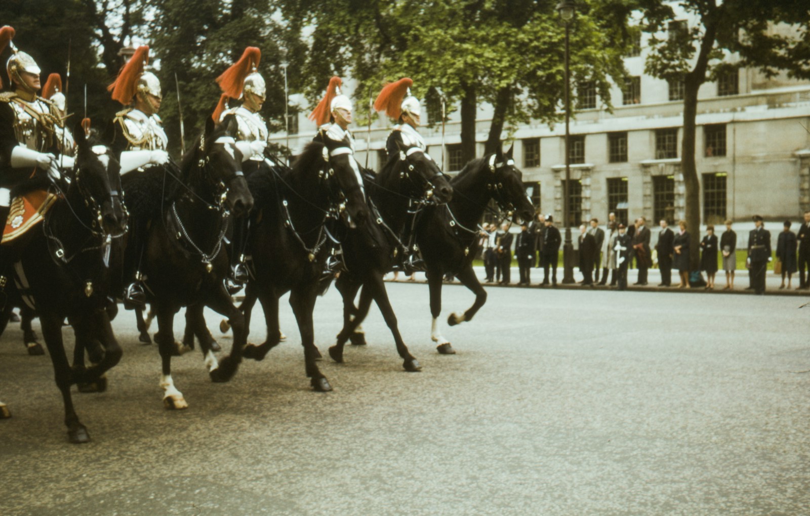 Parade with horses