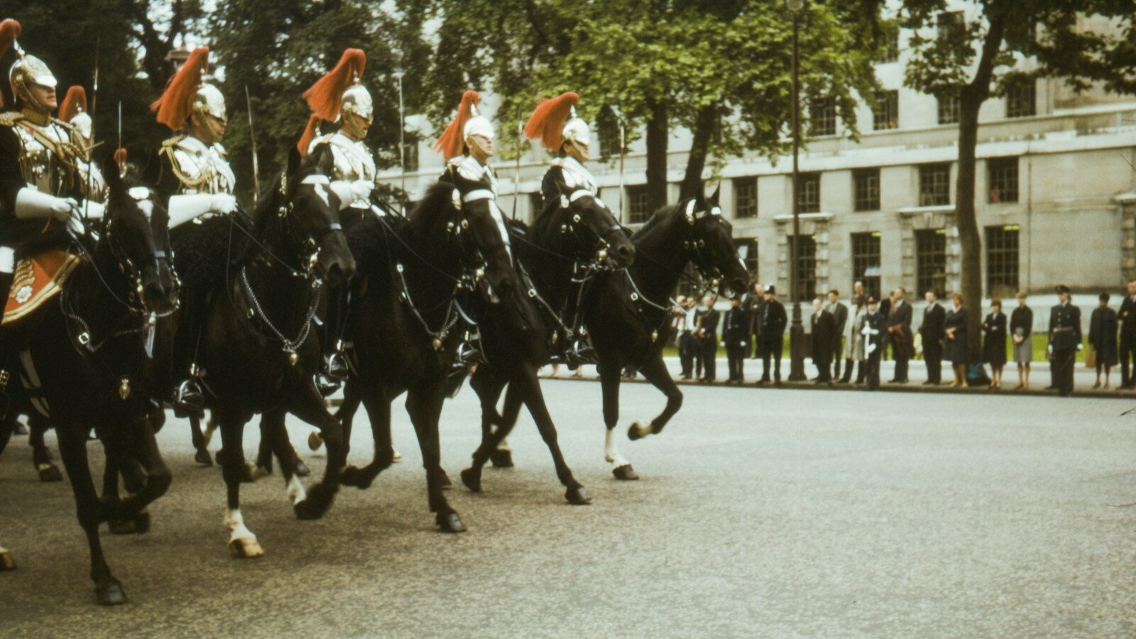 men in black and white uniform riding on black horse during daytime