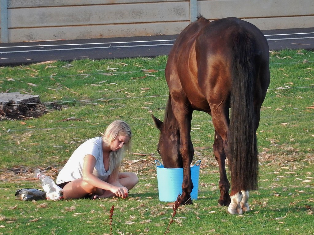 Owner feeding her horse