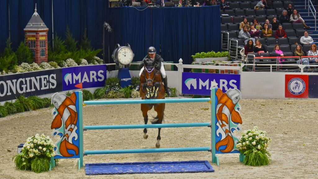 Exciting equestrian show jumping event with a bay horse and rider in Washington, DC arena.