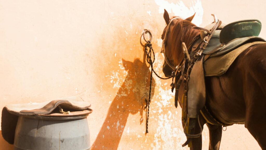 A saddled horse stands tied to a worn wall, creating a rustic scene in Brazil.