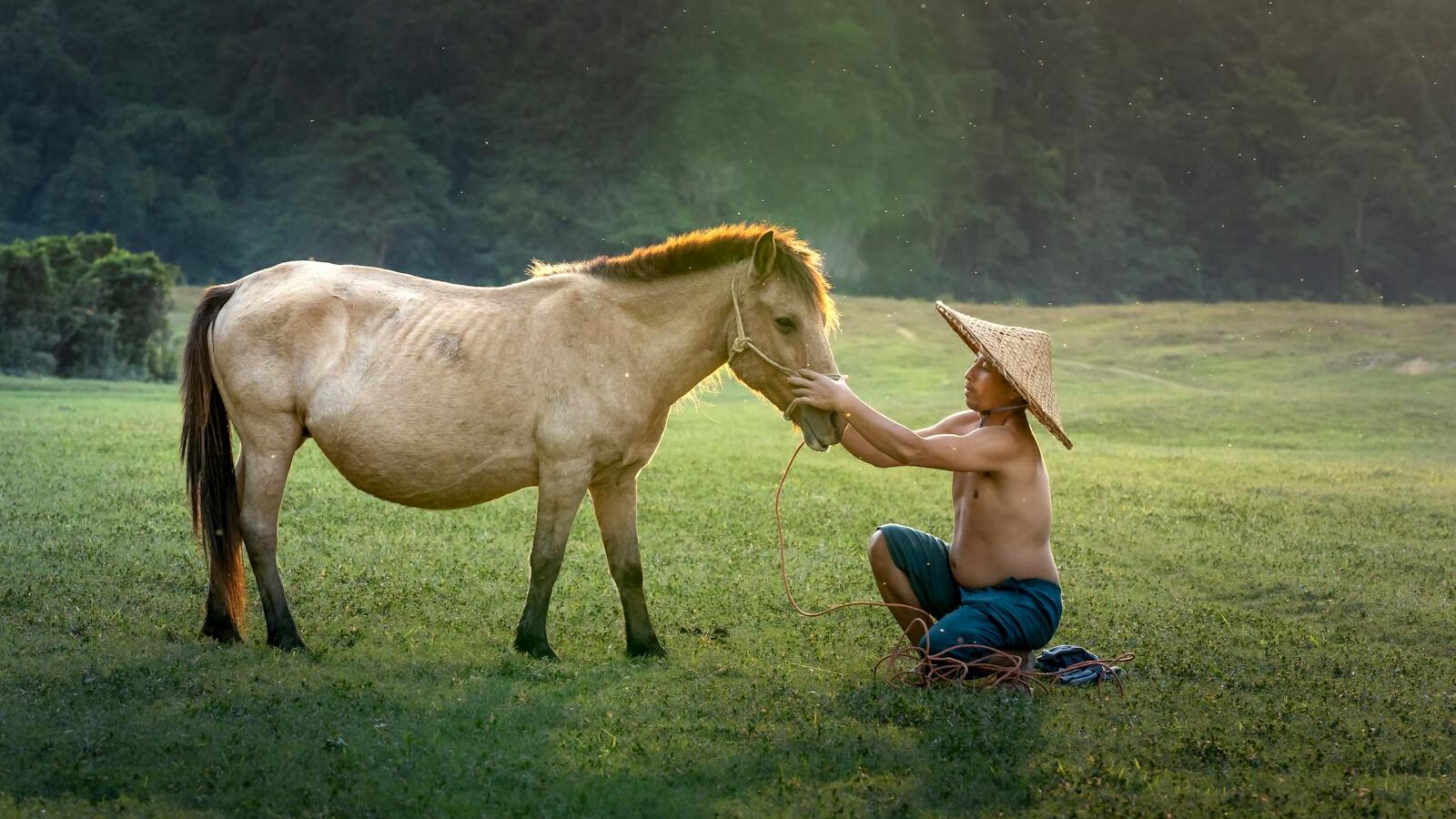 An Asian man kneels interacting with a horse in a sunlit field, wearing a conical hat.